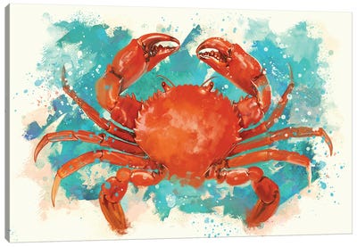 Crab Canvas Art Print - Louise Goalby