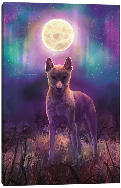 Midnight Outback Canvas Art Print - Full Moon Art