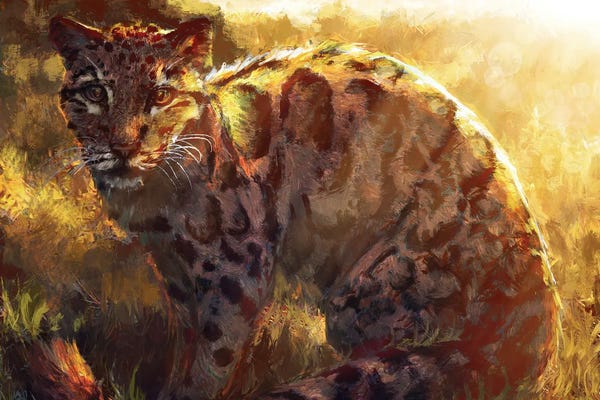 Leopards: Shining by Louise Goalby