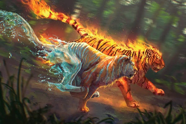 Fire & Ice: The Race by Louise Goalby