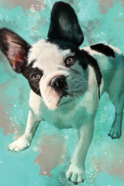 Frenchie by Louise Goalby wall art