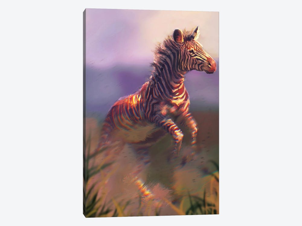 Grevys Zebra by Louise Goalby 1-piece Canvas Art