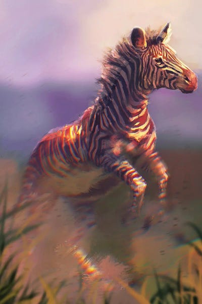 Zebras: Grevys Zebra by Louise Goalby