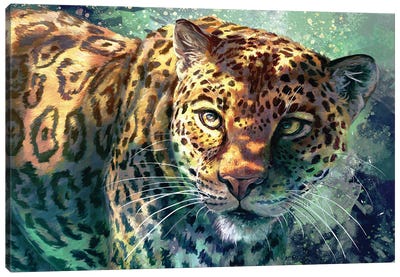Jungle Cat Canvas Art Print - Louise Goalby