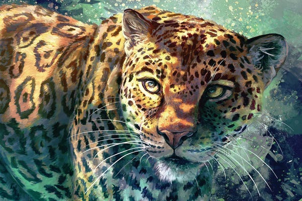 Leopards: Jungle Cat by Louise Goalby