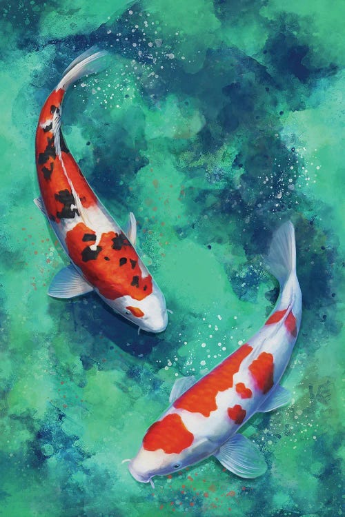 Zen Koi Right