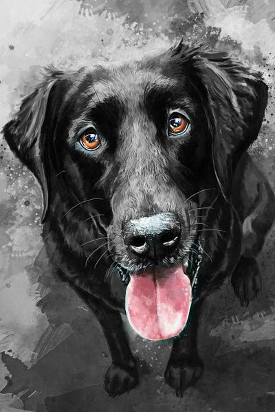 Labrador Retrievers: Black Lab by Louise Goalby