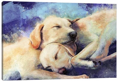 Nap Time Canvas Art Print - Louise Goalby
