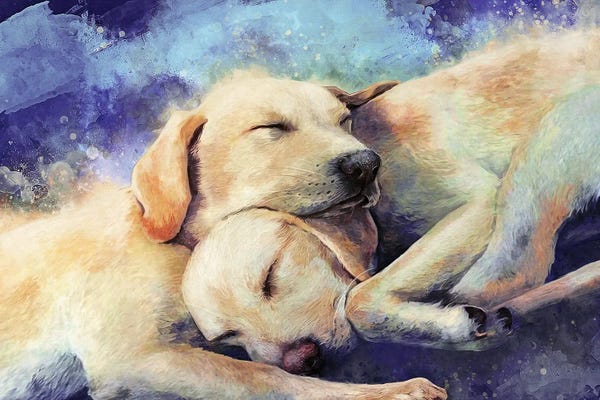 Labrador Retrievers: Nap Time by Louise Goalby