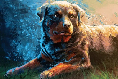 Rottweiller by Louise Goalby framed wall art