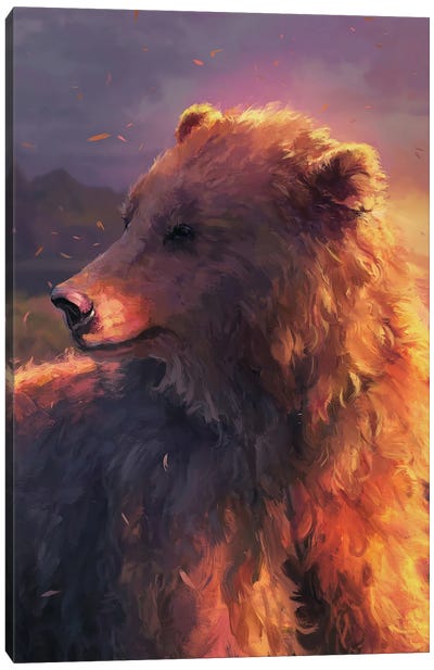 Marsican Brown Bear Canvas Art Print - Brown Bear Art