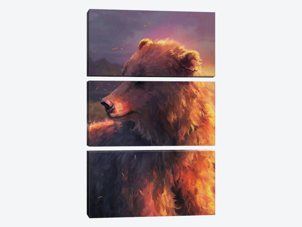 Marsican Brown Bear by Louise Goalby 3-piece Canvas Print