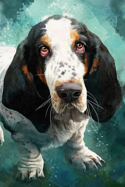 Louise Goalby: Basset Hound by Louise Goalby
