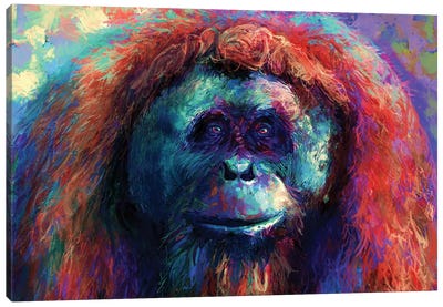 Orangutan Canvas Art Print - Louise Goalby