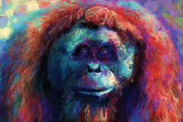Orangutan by Louise Goalby wall art