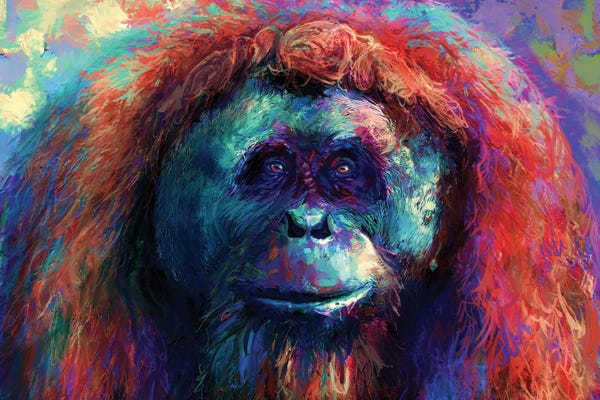 Louise Goalby: Orangutan by Louise Goalby