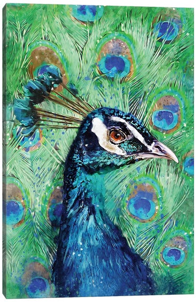 Peacock Canvas Art Print - Louise Goalby