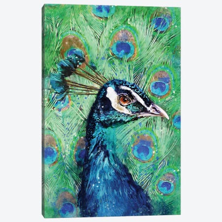 Peacock Canvas Print #LSG65} by Louise Goalby Canvas Print