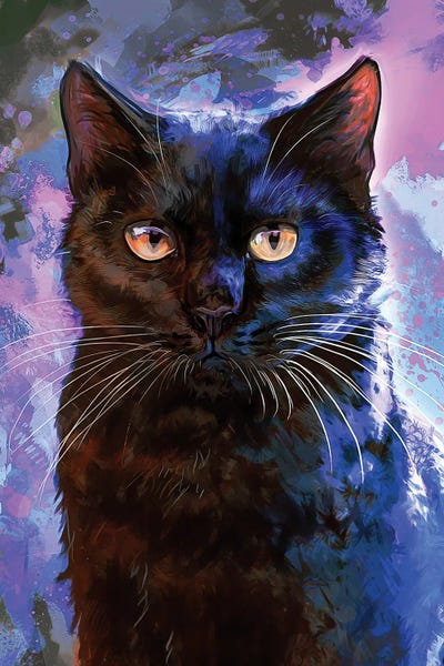 Black Cats: Black Cat by Louise Goalby