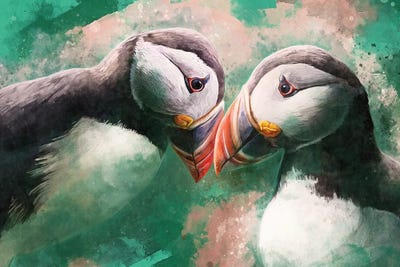 Puffins by Louise Goalby acrylic art print