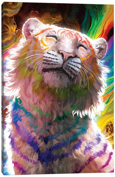 Rainbow Canvas Art Print - Louise Goalby
