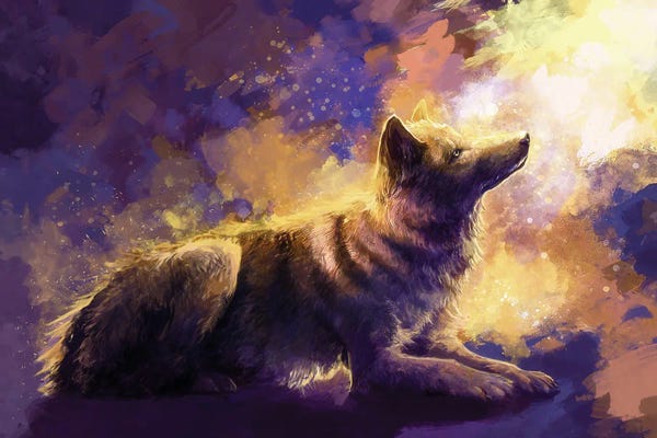 Wolves: Dancing Light by Louise Goalby