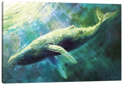 Blue Whale Canvas Art Print - Humpback Whale Art