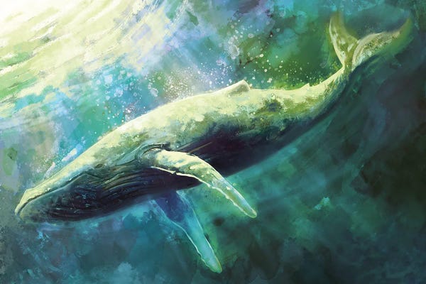 Whales: Blue Whale by Louise Goalby