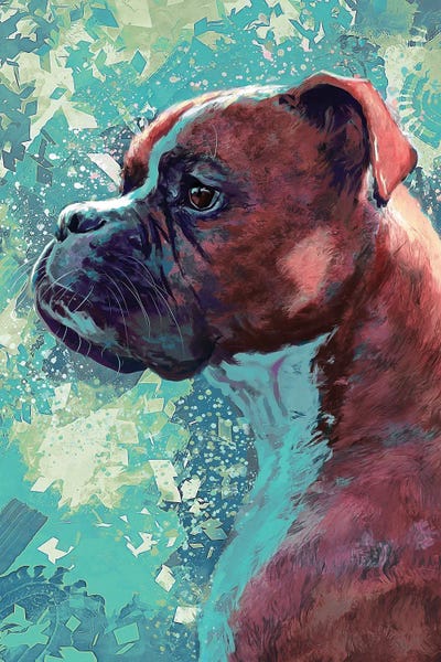Boxer by Louise Goalby acrylic art print