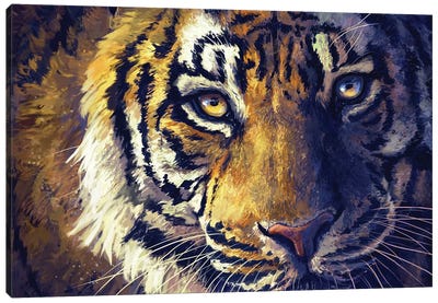 Tiger Eyes Canvas Art Print - Louise Goalby