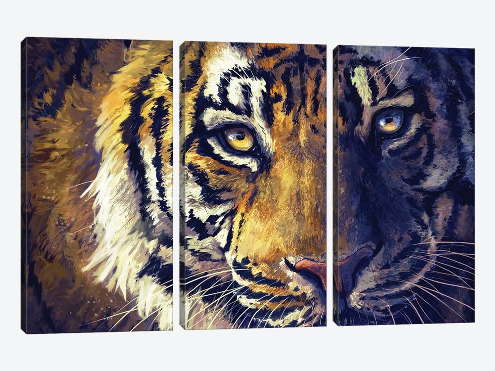Tiger Eyes by Louise Goalby 3-piece Canvas Wall Art