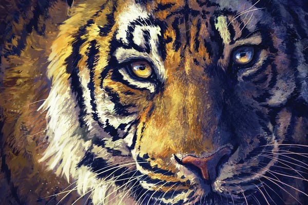 Tiger Eyes