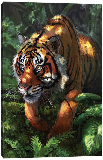 Prowling Tiger Canvas Art Print - Louise Goalby