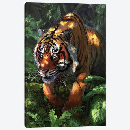 Prowling Tiger Canvas Print #LSG92} by Louise Goalby Canvas Art Print