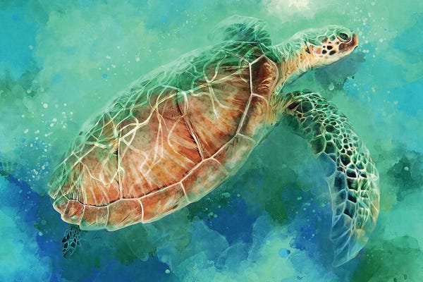 Turtles: Turquoise Angel by Louise Goalby