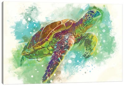 Turtle Canvas Art Print - Louise Goalby