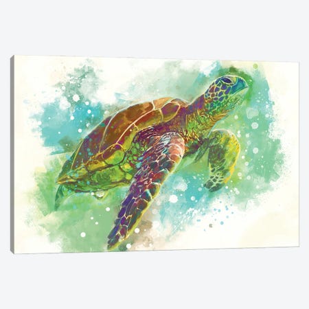 Turtle Canvas Print #LSG98} by Louise Goalby Art Print
