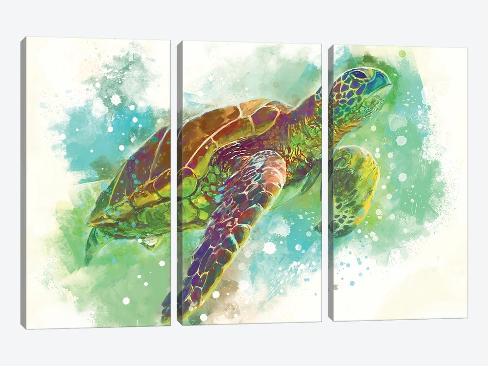 Turtle by Louise Goalby 3-piece Canvas Wall Art