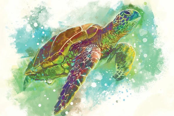 Turtles: Turtle by Louise Goalby