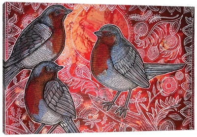 Three Robins Canvas Art Print - Robin Art