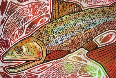 Trout Run by Lynnette Shelley framed canvas print