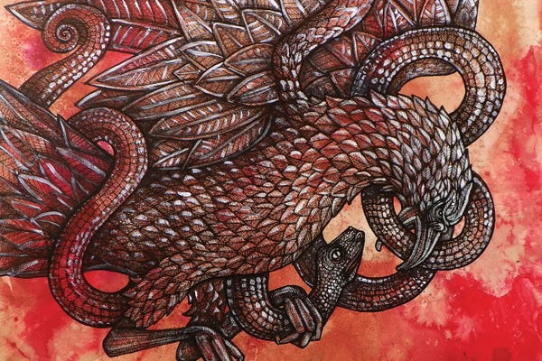 Snakes: Between Earth And Sky by Lynnette Shelley