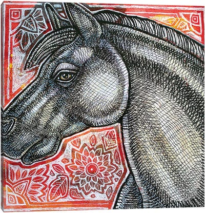 Painted Pony Canvas Art Print - Lynnette Shelley