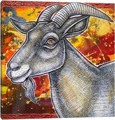 The Happy Goat Canvas Art Print - Goat Art