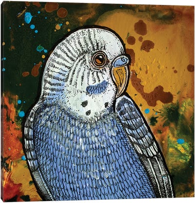Blue Parakeet Canvas Art Print - Parakeet Art