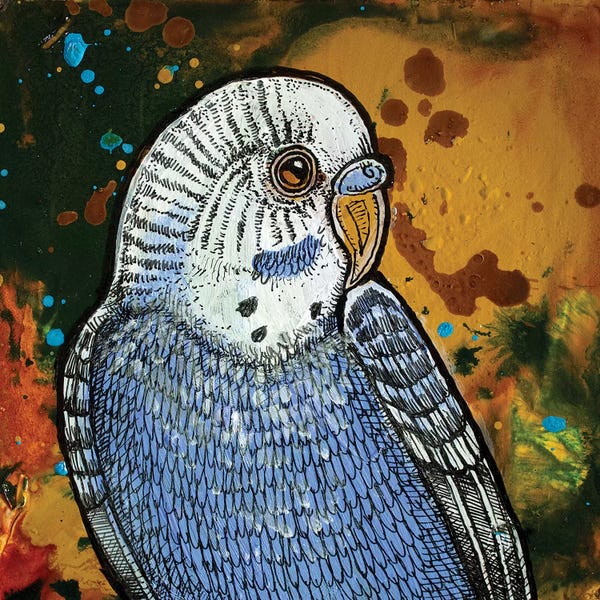 Lynnette Shelley: Blue Parakeet by Lynnette Shelley