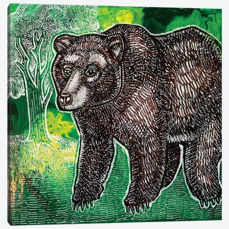 Brown Bear Canvas Print #LSH150} by Lynnette Shelley Canvas Print