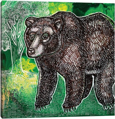Brown Bear Canvas Art Print - Lynnette Shelley