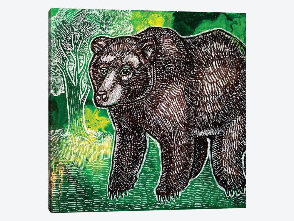 Brown Bear by Lynnette Shelley 1-piece Canvas Print