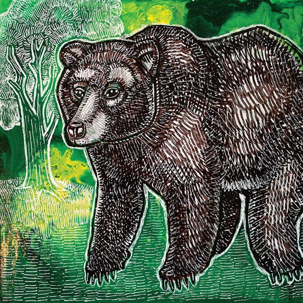 Brown Bears: Brown Bear by Lynnette Shelley